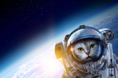 İlk gezi alanı. Karışık teknik