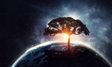 Geceleri yalnız ağaç. Karışık ortam