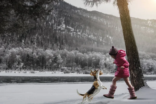 Having winter fun with pet friend — Stock Photo, Image
