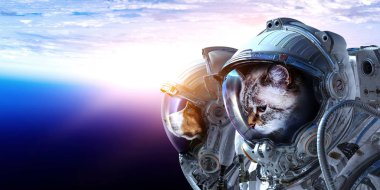 İlk gezi alanı. Karışık teknik