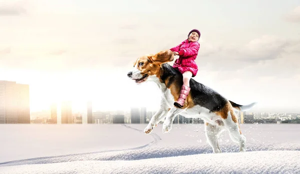 Super herói e seu cão voador — Fotografia de Stock
