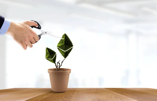 Ethereum fresh sprout as crypto currency investment. Mixed media — Stock Photo, Image