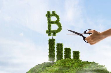 Şifreli para yatırımı olarak Bitcoin taze filizi. Karışık ortam
