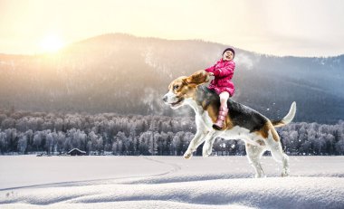 Süper kahraman ve onu uçan köpek