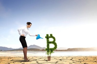 Kripto para yatırımı. Karışık ortam