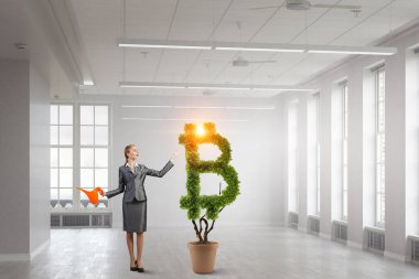 Kripto para yatırımı. Karışık ortam