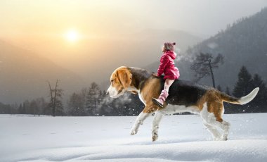 Süper kahraman ve onu uçan köpek