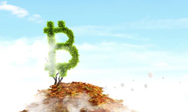Şifreli para yatırımı olarak Bitcoin taze filizi. Karışık ortam