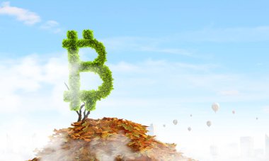Şifreli para yatırımı olarak Bitcoin taze filizi. Karışık ortam