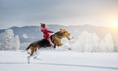 Süper kahraman ve onu uçan köpek