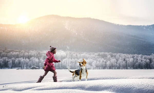 Tener diversión de invierno con su amigo mascota — Foto de Stock