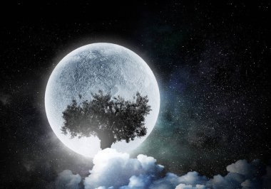 Geceleri yalnız ağaç. Karışık ortam