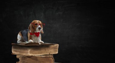 Üreme ve bilim. Karışık teknik