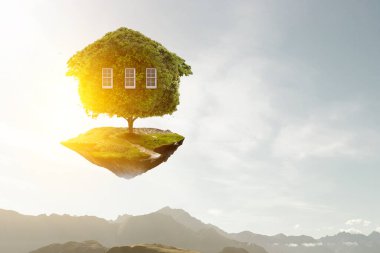 Yeşil çimlerin üzerinde Küçük Eko Evi