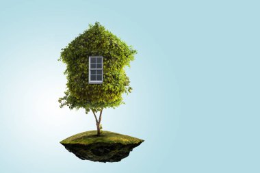 Yeşil çimlerin üzerinde Küçük Eko Evi