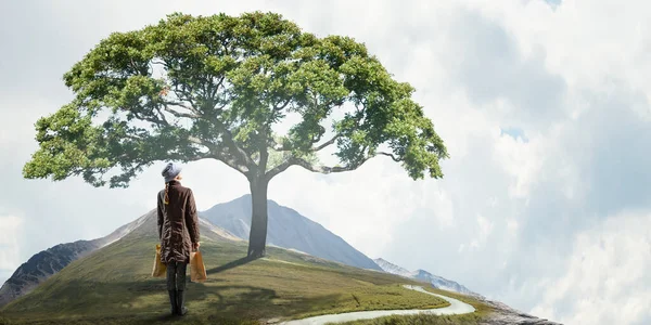 Huisvrouw wandelen met boodschappentassen — Stockfoto