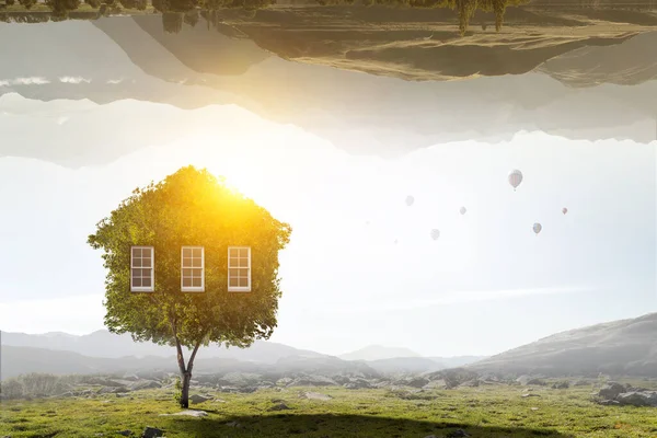 Pequeña Eco Casa en la hierba verde —  Fotos de Stock