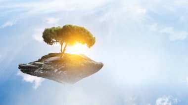 Ağaç ve manzaranın resmi