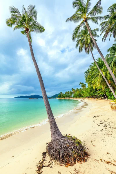 Тропический пляж Банг Као на Ко Самуи в Таиланде . — стоковое фото