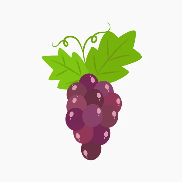 Vector de uvas frescas Ilustración — Vector de stock