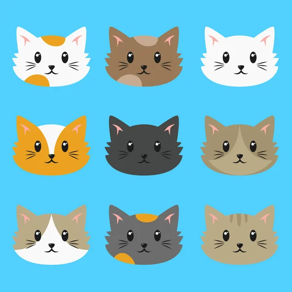 คอลเลกชันเวกเตอร์ของแมว — ภาพเวกเตอร์สต็อก