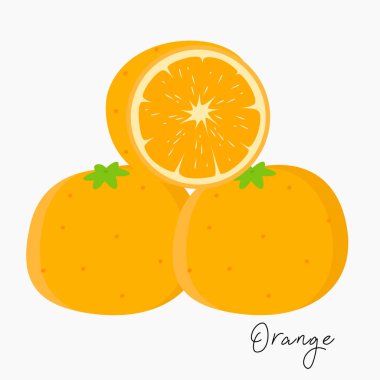 Taze portakal vektör