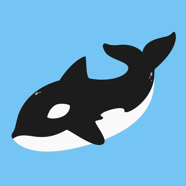 Φάλαινα δολοφόνος, Orca διάνυσμα — Διανυσματικό Αρχείο