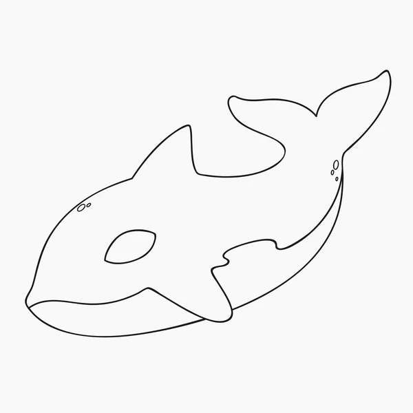 Killer Whale, Orca Line Art Vector — Stock Vector