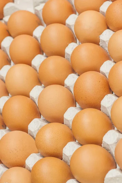 Muchos huevos marrones en cajas en la tienda de cerca — Foto de Stock