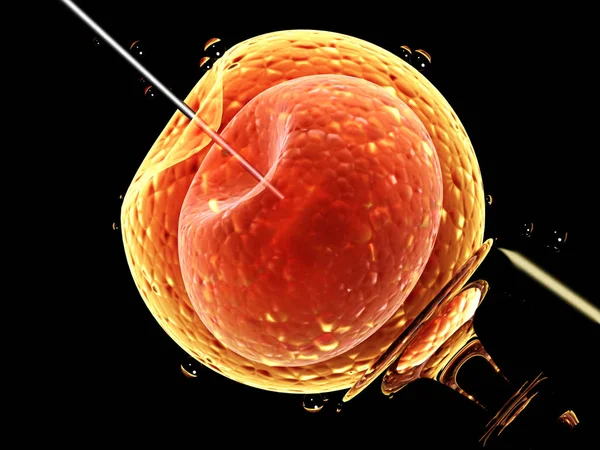 Artificial insemination. Needle puncture the cell membrane — Stock Photo, Image