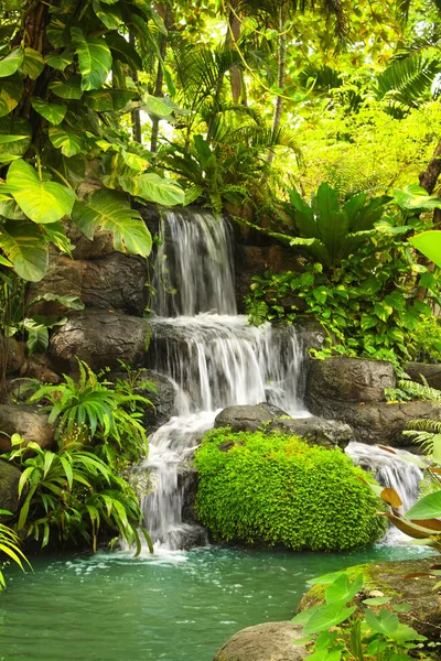 Водопад в тропическом саду — стоковое фото
