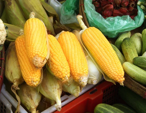 Maíz fresco en el mercado chino de la mañana en Yangon, Myanmar — Foto de Stock