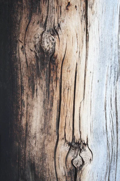 Tekstura starej drewnianej deski — Zdjęcie stockowe