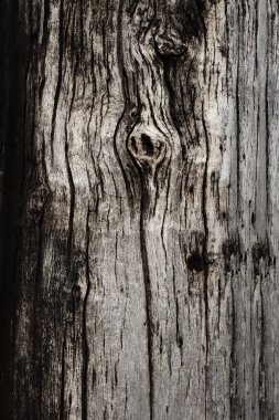 Eski ahşap tahtanın dokusu