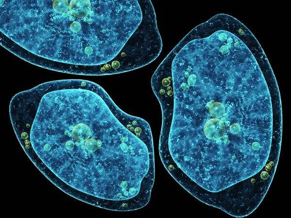 Three amoebas on black background — Stock Photo, Image