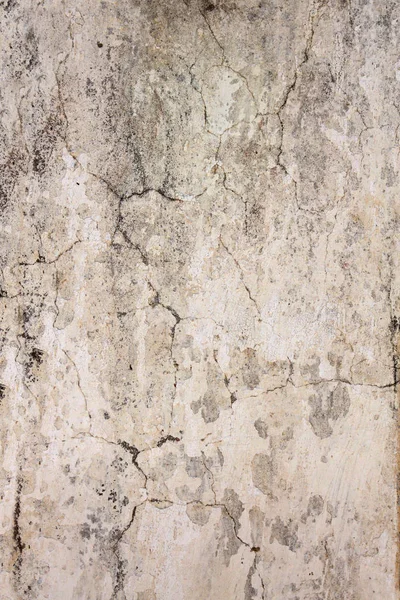 Textura velha da parede do estuque da cor bege — Fotografia de Stock