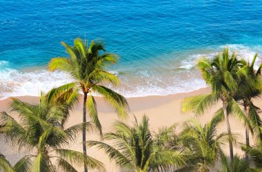 Palm trees, ocean waves and beach, Acapulco, Mexico clipart