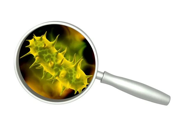 Magnifying glass and pathogen bacteria — Stock Photo, Image