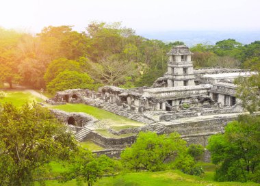 Kraliyet Sarayı, Palenque, Chiapas, Meksika kalıntıları