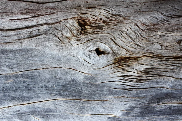 Textura da placa de madeira velha — Fotografia de Stock