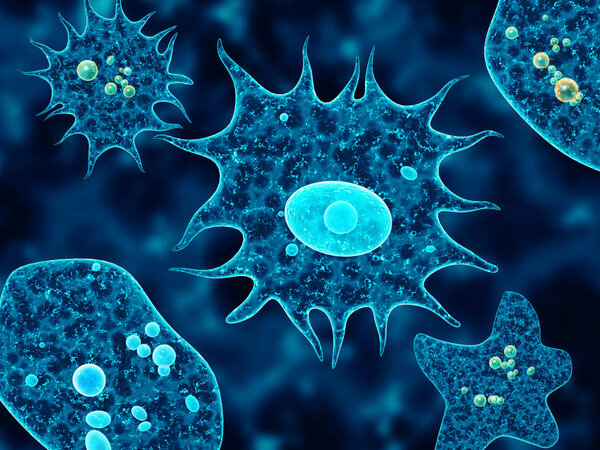 Amoebas on black background