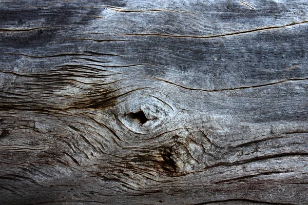 Texture of old wooden board — Stock Photo, Image