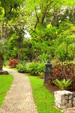 Yol ve süs bir tropik bahçe içinde bir fener