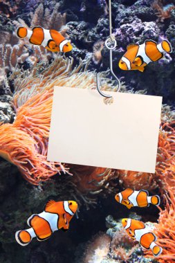 Palyaço balık ve balıkçılık dügmesinin üstünde boş kağıdın