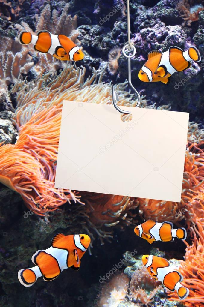 Clown fish and empty sheet of a paper on a fishing hook
