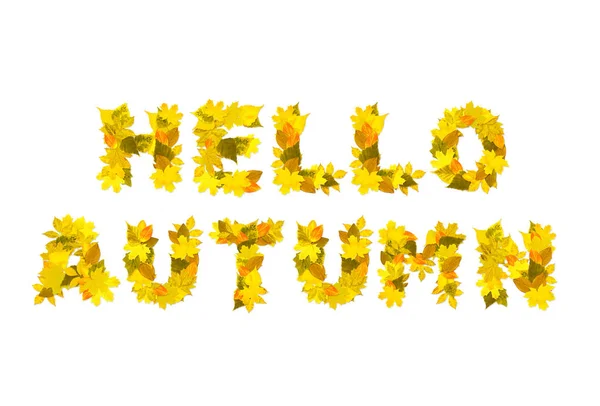 Привіт осінь. Фраза з літер осіннього листя — стокове фото
