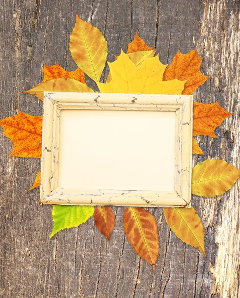 Гранж фон с осенними листьями — стоковое фото