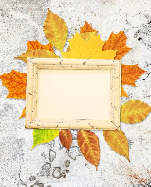 Grunge achtergrond met herfst bladeren — Stockfoto