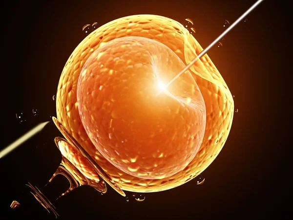 Artificiell insemination. Nålen punktering cellmembranet — Stockfoto