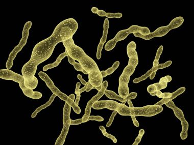 Virüs mikroskop altında